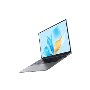 Laptops